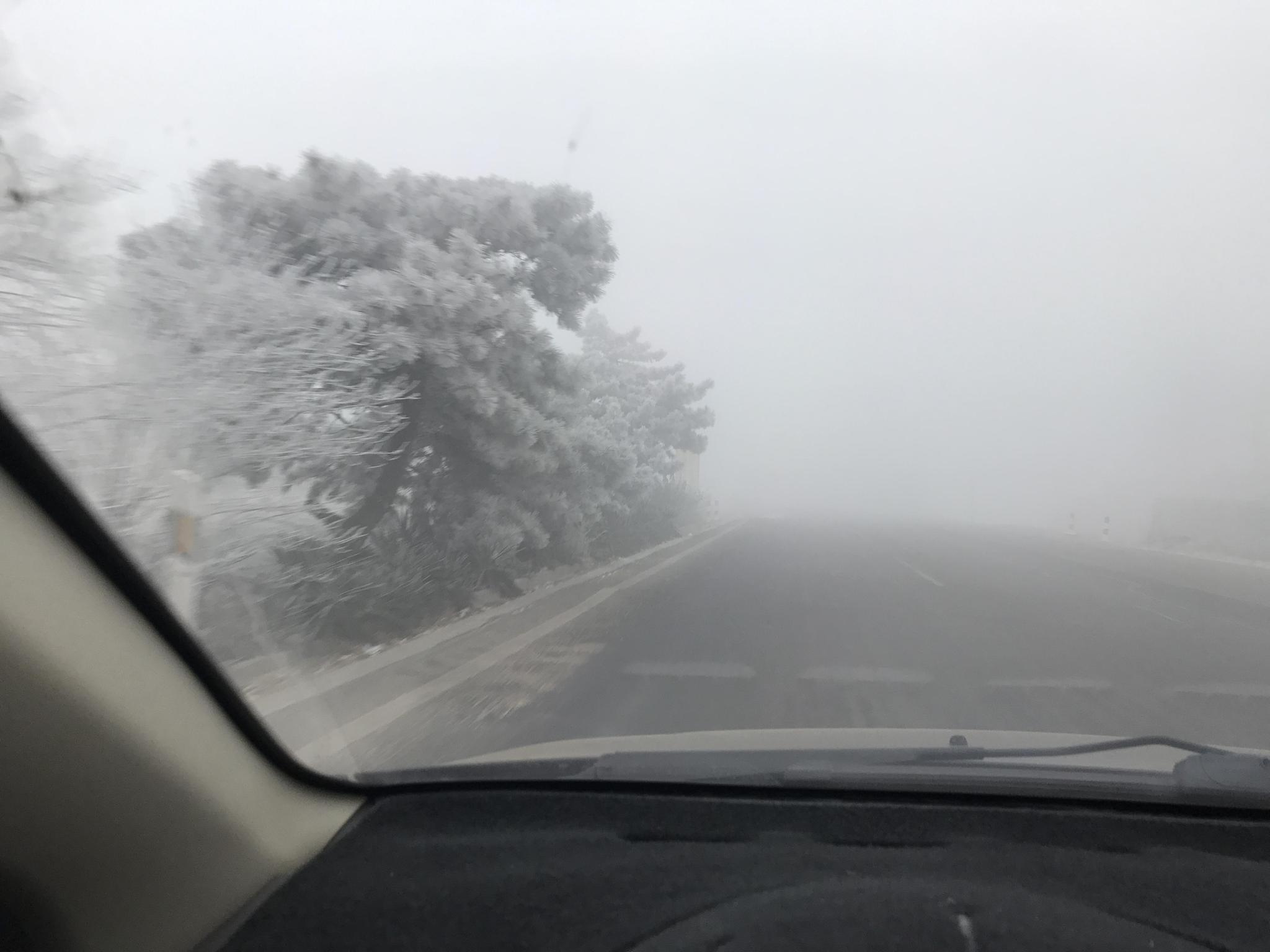 雨霧天氣駕車