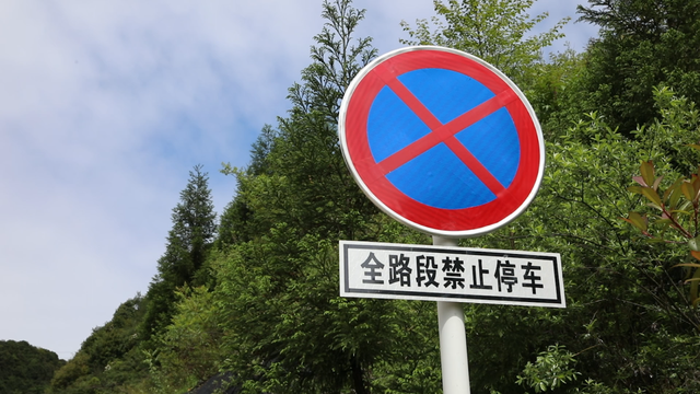 臨時停車與違停